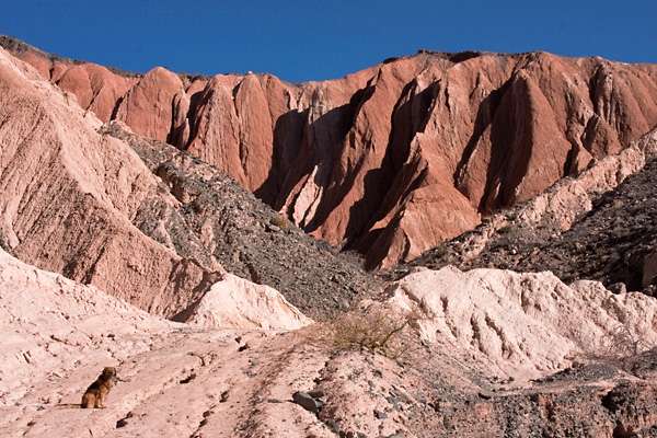 cerro colorado-7